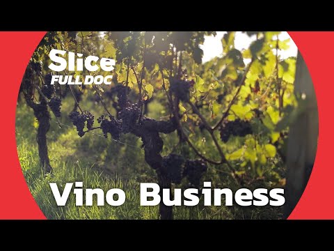 Inside the High-Stakes World of Fine Wine | FULL DOCUMENTARY