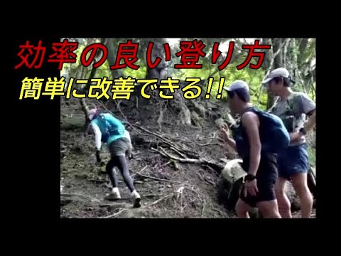 マラソンよりハード？？　トレイルランニングのコツ【効率の良い登り方】登山、山登り、トレラン、階段、トレイルラン、トレイルランニングすべてに対応