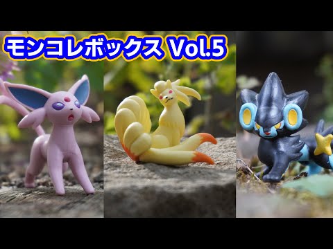 ポケモンおもちゃ#21 モンコレボックスVol.5 　エーフィ　キュウコン　レントラー　開封＆写真【オモ写/フィギュア/モンコレ/人形】