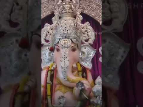 Ganpati Darshan  #shorts #ganpatidarshan #viralshorts