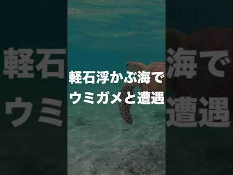 Submarine eruptions are affecting Okinawa, 1000 kilometers away, where sea turtles swim.