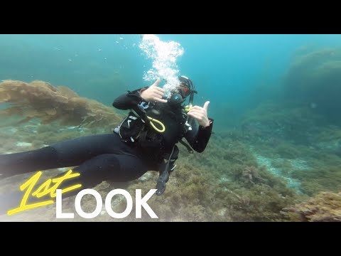 Johnny Bananas Explores What Lies Beneath Catalina Island | 1st Look TV