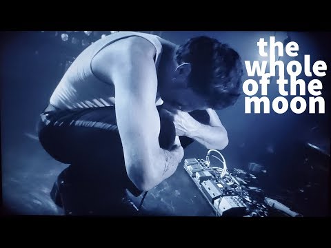 Kirin J Callinan - The Whole Of The Moon ]Live 2020]