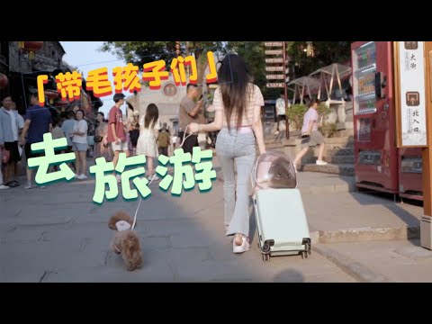 带着毛孩子旅行是种什么样的体验 #vlog日常 #萌宠 #携宠出游 #旅行