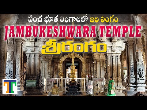 Srirangam Jambukeshwara Temple Full Tour Video In Telugu | Tiruchirappalli | Suman Telugu Traveller