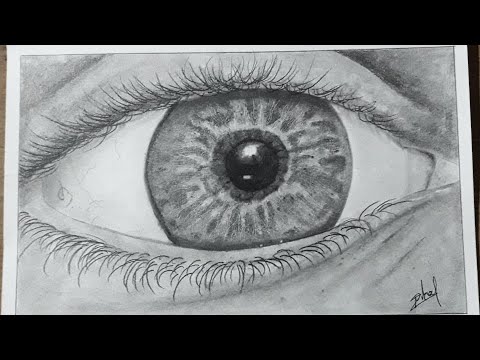 Drawing realistic eye | #sketchart #shorts