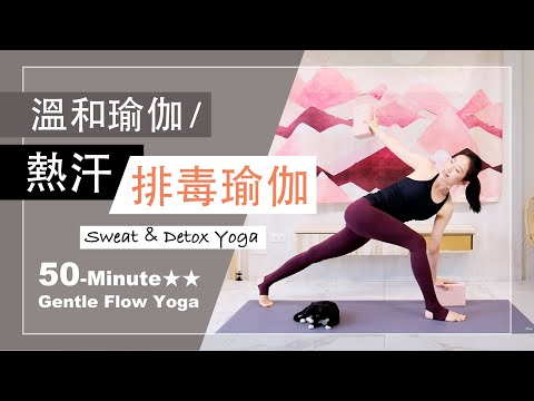 50分鐘 溫和瑜伽【熱汗排毒瑜伽】Gentle Flow Yoga ★ ★ #瑜珈肌力 #強力瑜珈 #瑜珈師資