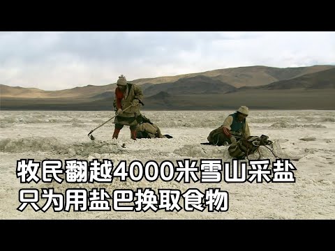 喜马拉雅山牧民：翻越4000米的雪山采盐，再用盐换取食物，纪录片