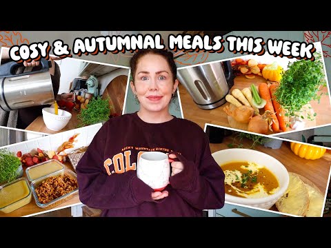 Autumnal Meals Of The Week | Budget, Warming, Delicious and Nutritious 🍂 Slow cooker, Batch Cooking