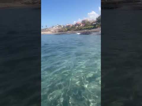 🏝️ Amazing clear water in Playa de Fanabe , Tenerife 🏝️#clearwaterbeach #clearwater #tenerife