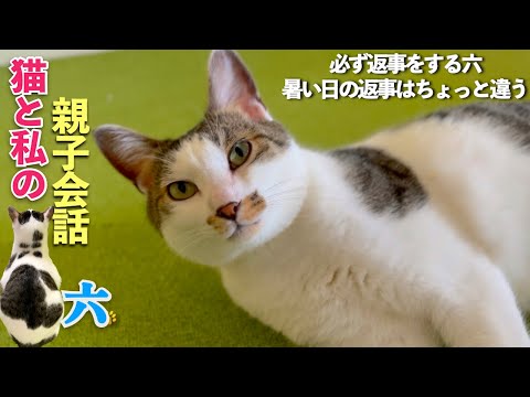 【猫と私の親子会話】必ず返事をする愛猫の六。暑い日は返事の仕方がちょっと違いました | [生まれ変わりの猫] 六 (Roku)