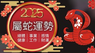 2025年生肖運程｜2025 蛇年運勢 ｜生肖蛇 - 整體運勢、事業運、財運、工作、健康詳細解析