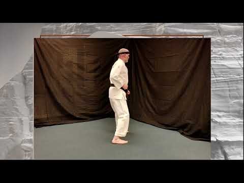 Pinan #2; A Dojo Drill of Dale Jenkins Lineage