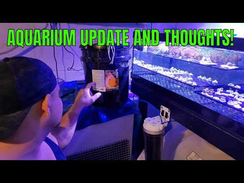 Aquarium update and thoughts on purit.