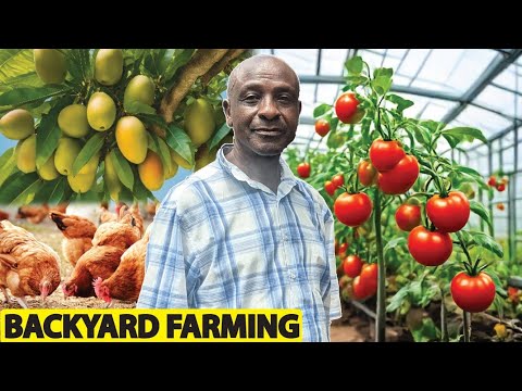 How He Turned His Backyard into a profit making Farm in Uganda