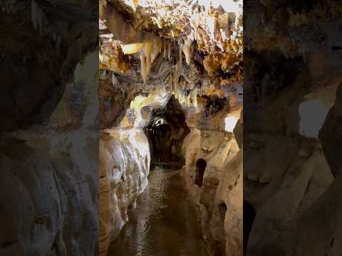 Water dripping from the ceiling of Ohio Caverns forms stalactites, stalagmites and mineral coatings!