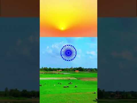 Independence Day Special Status | 15 August WhatsApp Status Video #15august #viralshorts