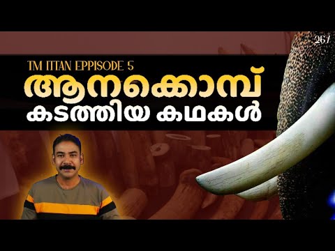 നാടന്‍ വേട്ടക്കഥകള്‍|tm ittan|ittan mathukutty|nia tv|noyal idukki|nia wildlife|hunting stories|niya