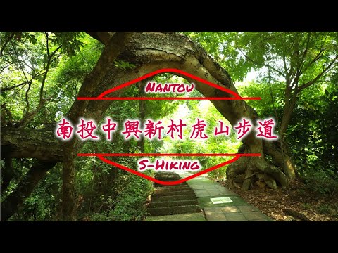 S步道｜南投｜中興新村虎山步道｜眷村竹林秘境｜南投市