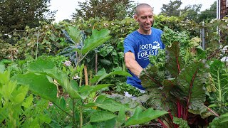 12 Cold Hardy Vegetables EVERYONE should be Growing through Fall and Winter!