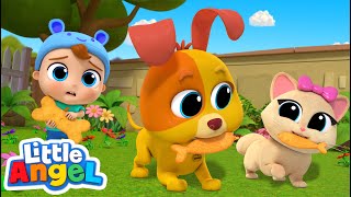 Baby John and Bingo Playdate Song  | @LittleAngel Kids Songs & Nursery Rhymes