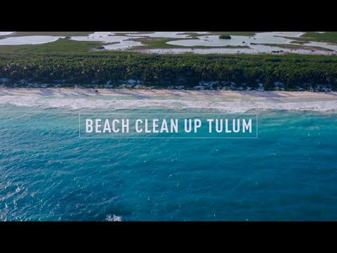 Beach Clean Up Tulum 2020