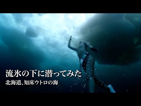 知床のウトロで流氷の下を素潜りしてみた。｜北海道流氷ダイビング