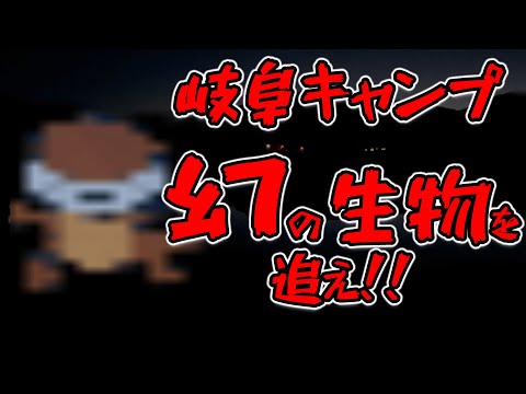 【ソロキャンプ】岐阜のおすすめキャンプ場で幻の生物を探す！和良川公園オートキャンプ場