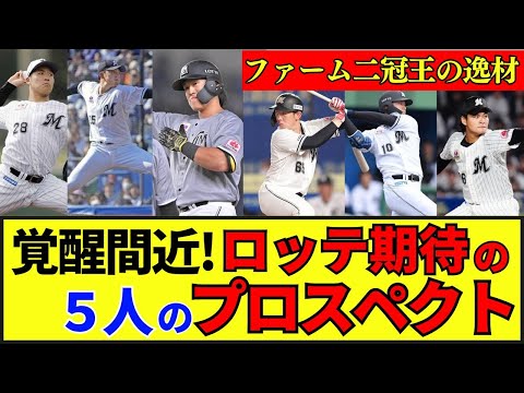 【ロッテ】25年ネクストブレイク候補！2軍で19発“2冠王”が覚醒間近！19歳捕手が2位の高打率！巧みなドラフト戦略で次世代スターを発掘！#プロ野球 #野球