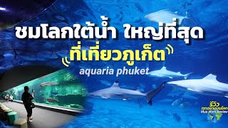 ที่เที่ยวภูเก็ต อควาเรีย พิพิธภัณฑ์สัตว์น้ำที่ดีใหญ่ที่สุดในประเทศไทย aquaria