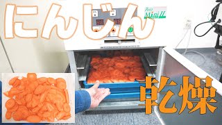 【乾燥野菜】にんじんを乾燥（プチミニⅡ）