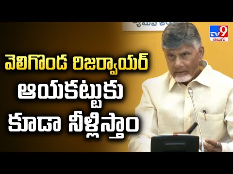 వెలిగొండ రిజర్వాయర్ ఆయకట్టుకు కూడా నీళ్లిస్తాం : CM Chandrababu - TV9