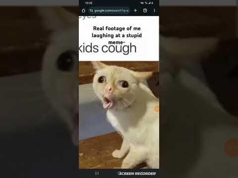 Me laughing at a stupid ass cat meme