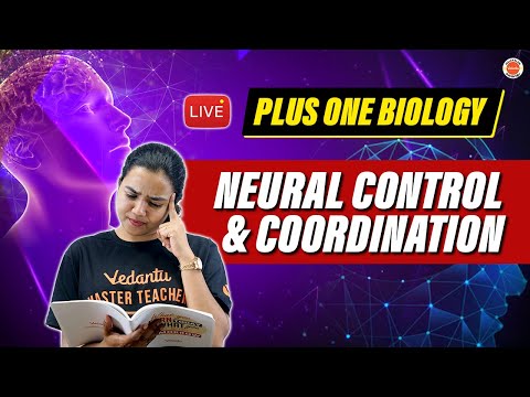 Neural Control & Coordination | Plus One Biology | Aswani Ma'am