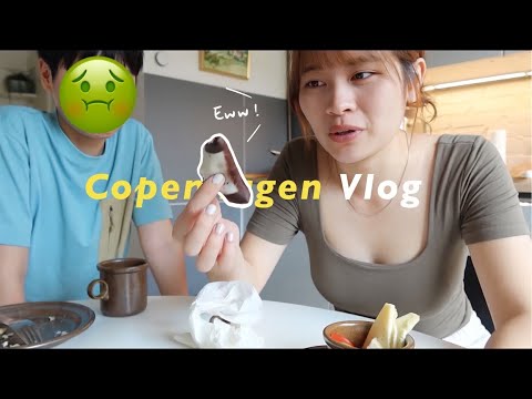 【ENG SUB】Copenhagen Travel Vlog🇩🇰Have you ever tried "Danish Tree Logs"...?