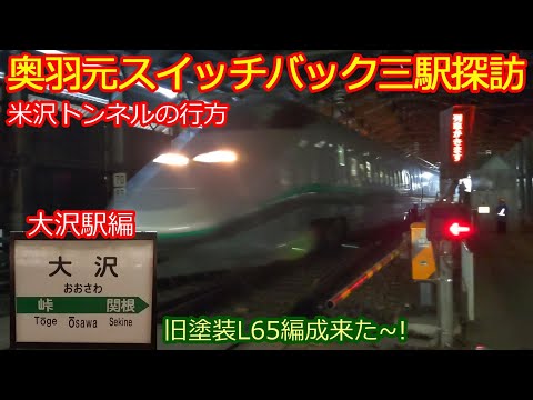 【元スイッチバック大沢駅編】12月1日～通年通過！実質廃駅!?偶然旧塗装L65編成が通過！