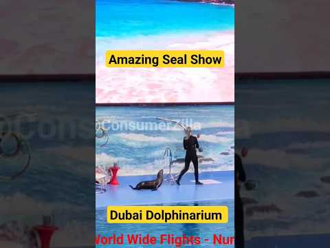 Amazing Seal Show | Dubai Dolphinarium show | Seal Show Dubai #short #seal #sealshow #dolphinshow