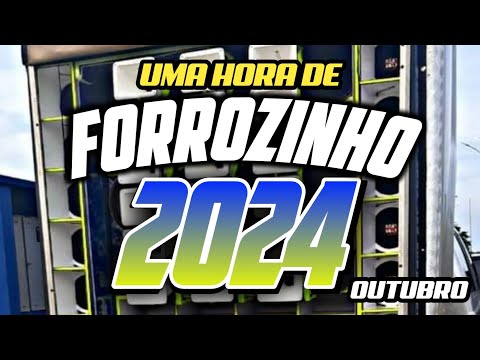 FORROZINHO • UMA HORA DE PAREDÃO • 2024 OUTUBRO #forrozin #piseiro #forrozinho #dudubatidao