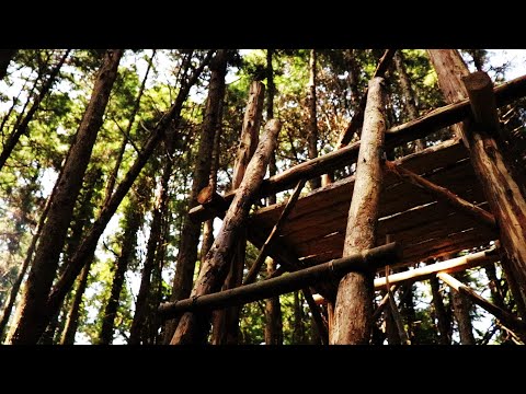 森の奥に秘密基地 総集編 Part2 Build a secret base in the forest. Omnibus