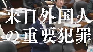 【吉川りな】移民問題について