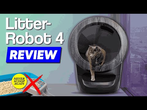 Litter-Robot 4 Review—2 Cats Used It For 3 MONTHS! EVERYTHING You Need To Know!