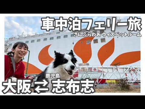 【さんふらわあ ウィズペット】快適！車中泊フェリー旅【大阪→鹿児島志布志】