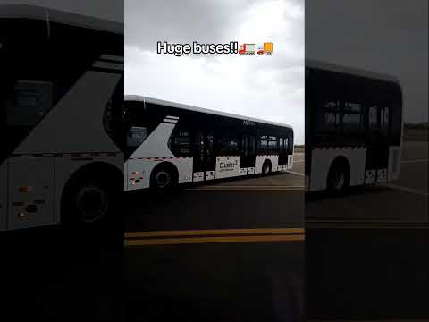 Buses!! #buses #bus #airportbus #shuttlebus #airport #abhasaudiarabia #busride #shortvideo #shorts