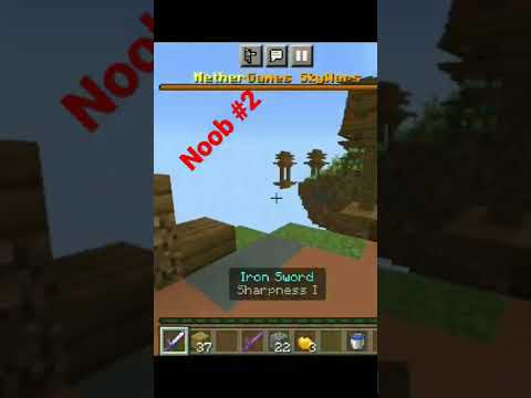 SKYWARS VICTORY MINECRAFT