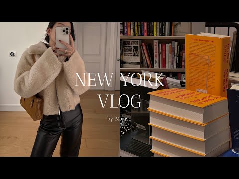 New York vlog🗽End of the year | Visiting favorite places | Beef bourguignon | Pet sitting [Eng sub]