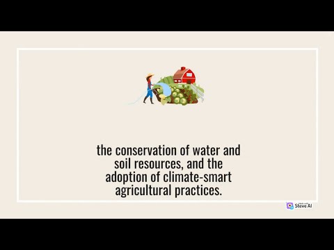 Sustainable development, harvesting wet rice agriculture for localities | Part 1 | Farming Futures