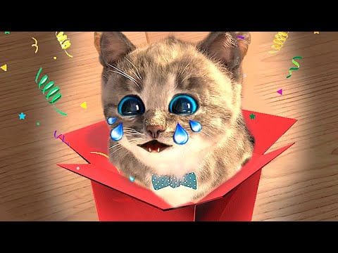 Animated Little Kitten friends Adventure 😸 Preschool and kindergarten learning Cartoon #1177