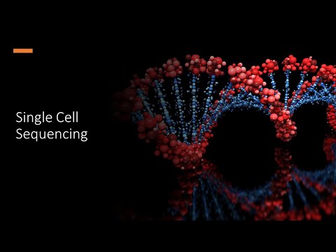 Single Cell Sequencing