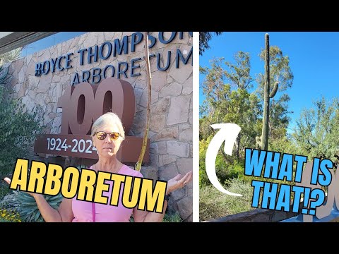 What's an ArBOReTUM??