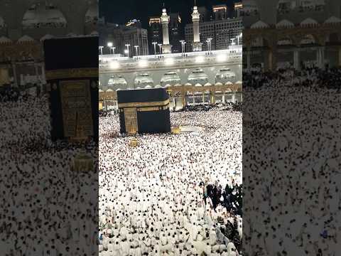 Makkah Haj live status 2024 #shortsfeed #shorts #viral #islamicvideo